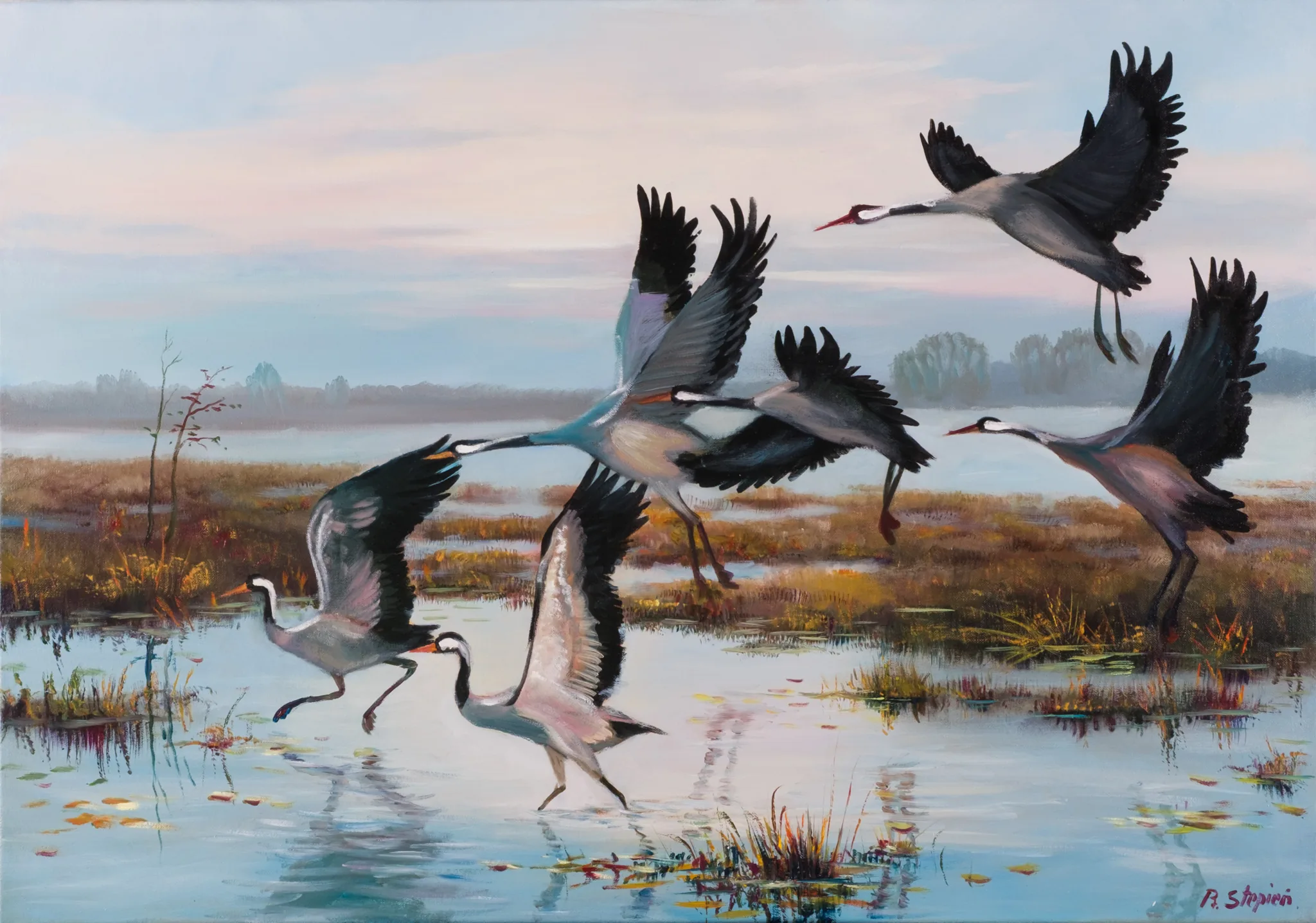 Painting with cranes flying and standing in a marsh landscape in pale blue