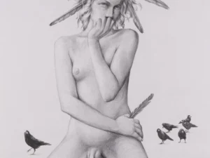 feathers and birds in gray