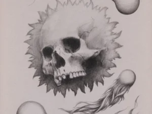 Graphite drawing with a skull and trailing organic forms in gray and black on pale paper.