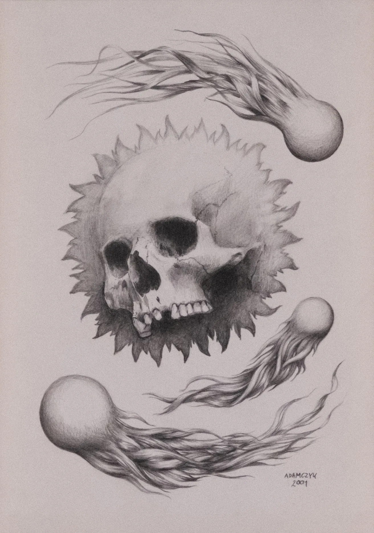 Graphite drawing with a skull and trailing organic forms in gray and black on pale paper.