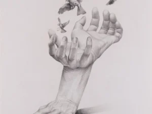 Graphite drawing with two human hands and three birds in gray