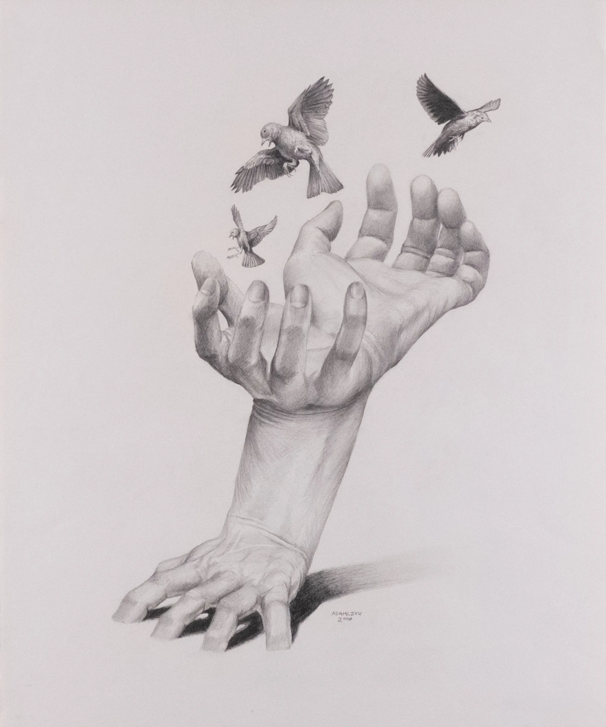 Graphite drawing with two human hands and three birds in gray